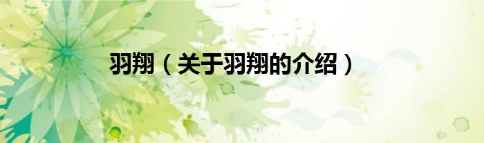 羽翔（关于羽翔的介绍）