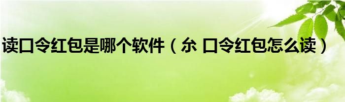 读口令红包是哪个软件（厼 口令红包怎么读）