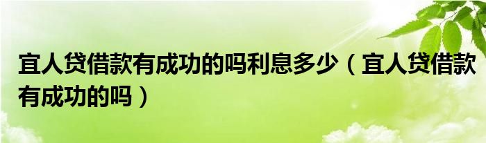 宜人贷借款有成功的吗利息多少（宜人贷借款有成功的吗）