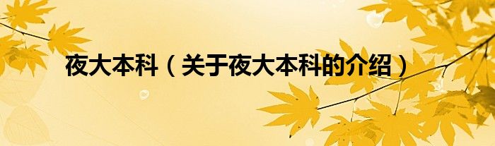 夜大本科(关于夜大本科的介绍)