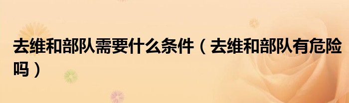 去维和部队需要什么条件（去维和部队有危险吗）