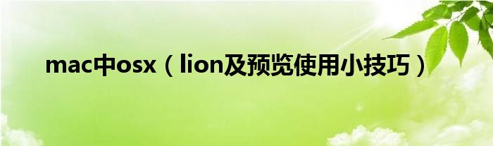 mac中osx(lion及预览使用小技巧)