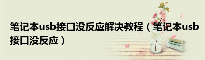 笔记本usb接口没反应解决教程（笔记本usb接口没反应）