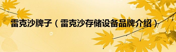 雷克沙牌子（雷克沙存储设备品牌介绍）