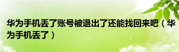 华为手机丢了账号被退出了还能找回来吧（华为手机丢了）