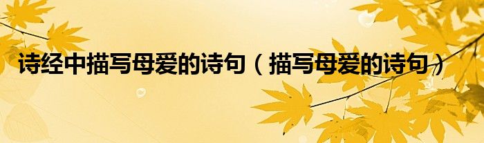 诗经中描写母爱的诗句（描写母爱的诗句）