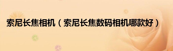 索尼长焦相机（索尼长焦数码相机哪款好）