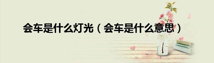 会车是什么灯光（会车是什么意思）