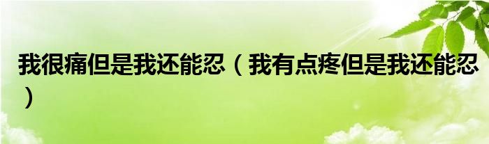 我很痛但是我还能忍（我有点疼但是我还能忍）