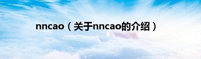 nncao（关于nncao的介绍）