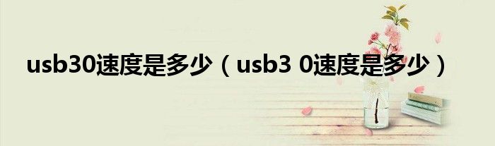 usb30速度是多少(usb3 0速度是多少)
