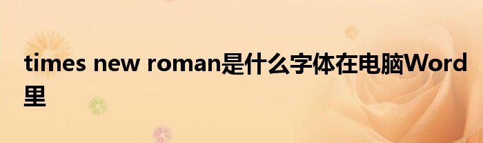times new roman是什么字体在电脑Word里