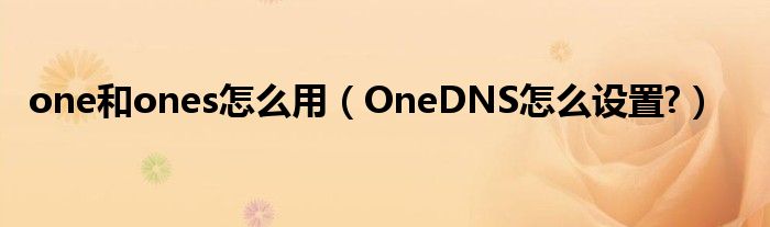 one和ones怎么用（OneDNS怎么设置?）