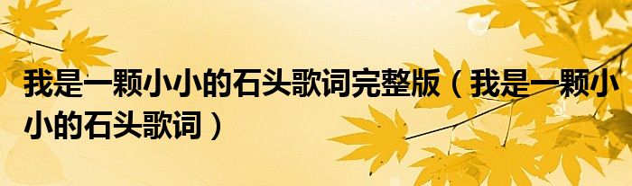 我是一颗小小的石头歌词完整版（我是一颗小小的石头歌词）
