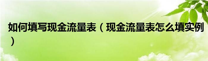 如何填写现金流量表(现金流量表怎么填实例)