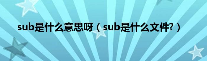 sub是什么意思呀（sub是什么文件?）