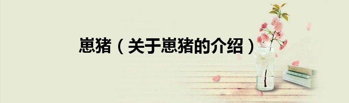 崽猪（关于崽猪的介绍）