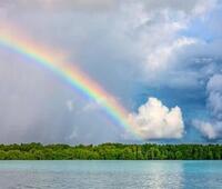 蚕丝棉裤怎么洗