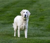 商务部等9部门发布关于推动农村电商高质量发展的实施意见