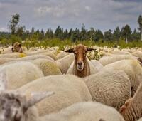 费森尤斯卡比与国药集团深化战略合作，共建健康领域新生态