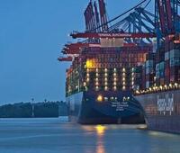 白菜根煮水可以治感冒